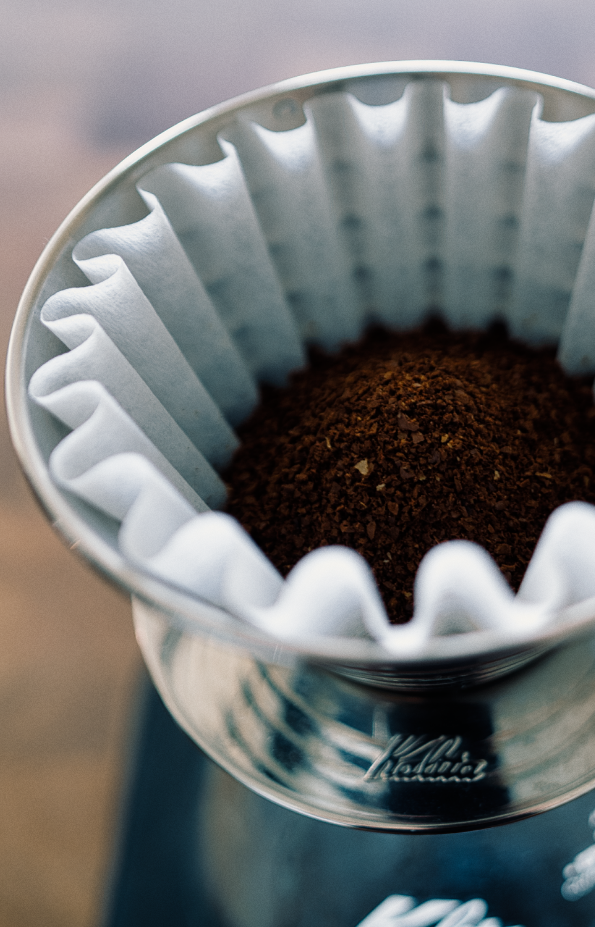 5 LB | The Downtown Shot | Guatemala