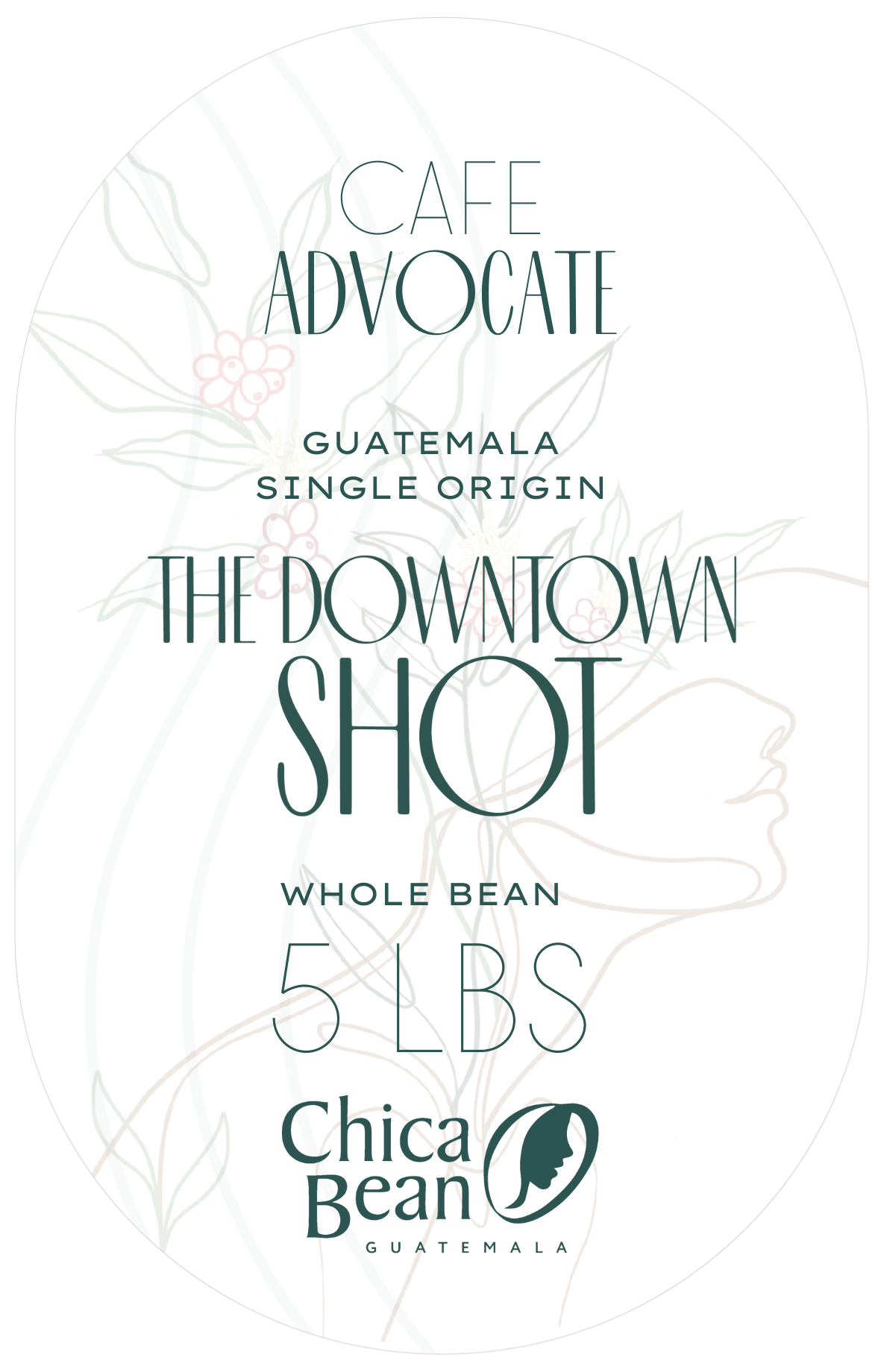 5 LB | The Downtown Shot | Guatemala